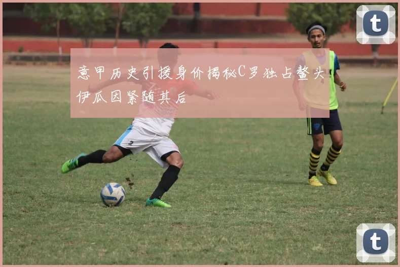 意甲历史引援身价揭秘C罗独占鳌头伊瓜因紧随其后