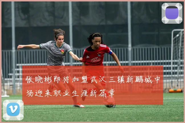 张晓彬即将加盟武汉三镇新鹏城中场迎来职业生涯新篇章