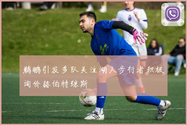 鹈鹕引发多队关注湖人步行者积极询价赫伯特琼斯